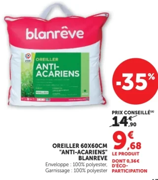 Oreiller 60x60cm Anti-Acariens Blanrêve