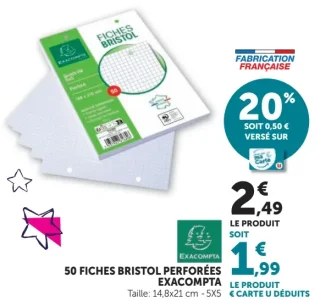 50 fiches Bristol perforées Exacompta