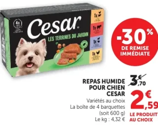 Cesar Repas humide pour chien Variétés au choix