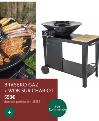 Somagic Brasero Gaz + Wok sur Chariot