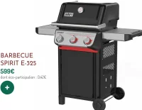 Barbecue Spirit E-325 Weber
