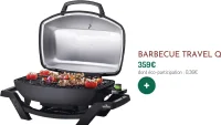 Barbecue Napoleon Travel Q
