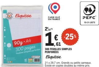 300 feuilles simples perforées Esquisse