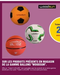 Gamme ballons Woodsun