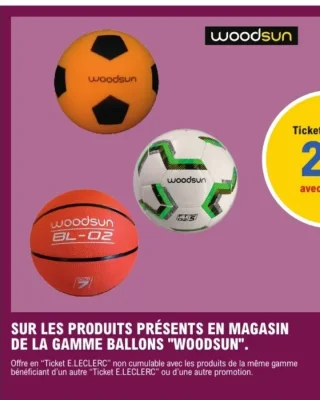 Gamme ballons Woodsun
