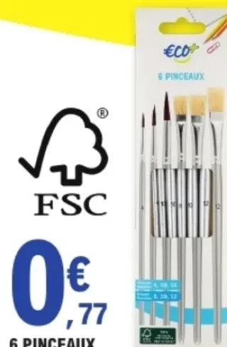 ECO+ 6 Pinceaux