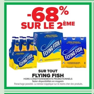 Bière Flying Fish