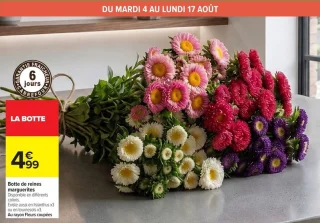 Botte de reines marguerites
