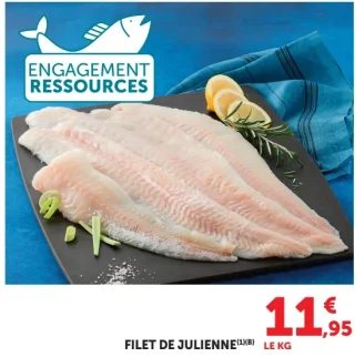 Filet de julienne