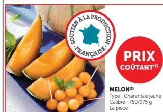 Melon