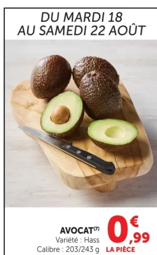 Avocat Variété : Hass