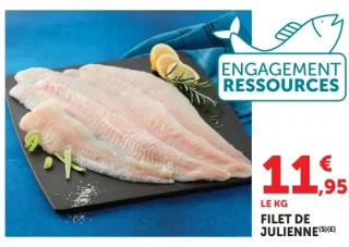 Filet de julienne Engagement Ressources