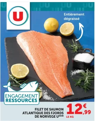 FILET DE SAUMON ATLANTIQUE DES FJORDS DE NORVEGE U
