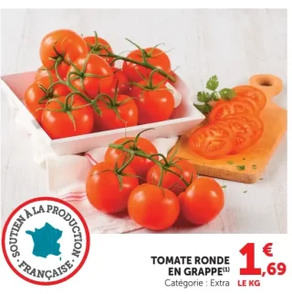 Tomate ronde en grappe