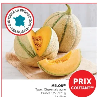 Melon Charentais Jaune