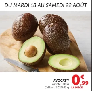 Avocat