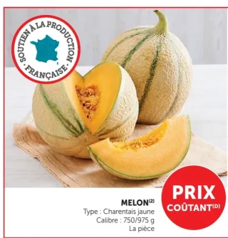 Melon charentais jaune