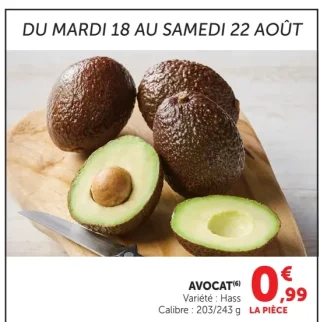 Avocat