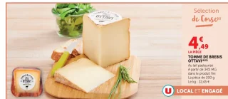 Tomme de brebis Ottavi