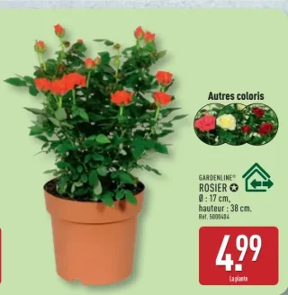 Gardenline Rosier
