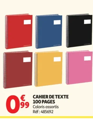 Cahier de texte 100 pages