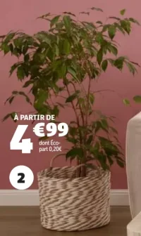 Panière en roseau et papier GiFi