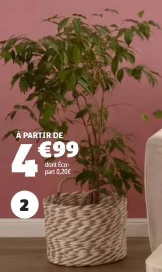 Panière en roseau et papier GiFi