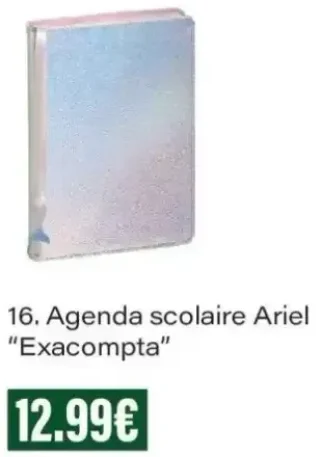Agenda scolaire Ariel Exacompta