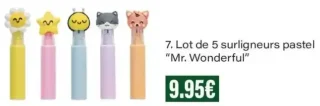 Lot de 5 surligneurs pastel "Mr. Wonderful"