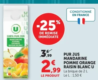 PUR JUS MANDARINE POMME ORANGE RAISIN BLANC U