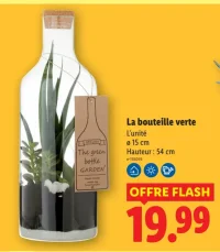La bouteille verte