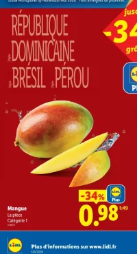 Mangue