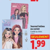 Journal intime ou carnet