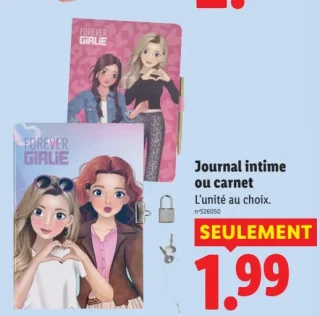 Journal intime ou carnet