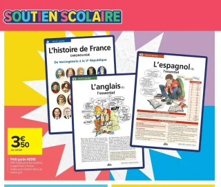Petit guide AEDIS