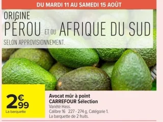 Avocat mûr à point