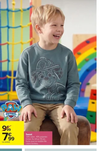 Sweat Paw Patrol