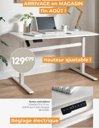 Bureau assis/debout