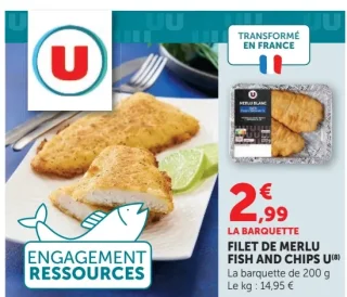 Filet de merlu fish and chips U