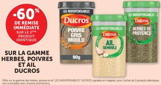 Gamme herbes, poivres et ail "Les Indispensables" Ducros (Poivre gris moulu, Ail semoule, Herbes de provence,...)