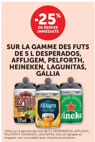 Fûts de 5 L Desperados, Affligem, Pelforth, Heineken, Lagunitas, Gallia