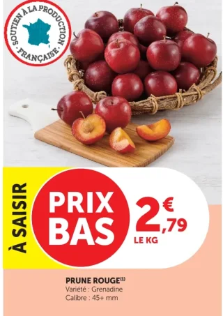 PRUNE ROUGE