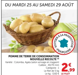 Pomme de Terre de Consommation Nouvelle Recolte