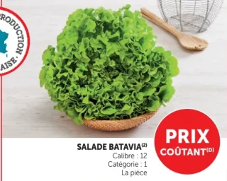 Salade Batavia