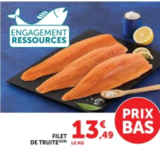 Filet de truite