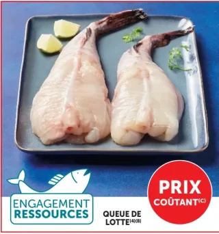 Queue de lotte