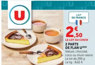 2 parts de flan U