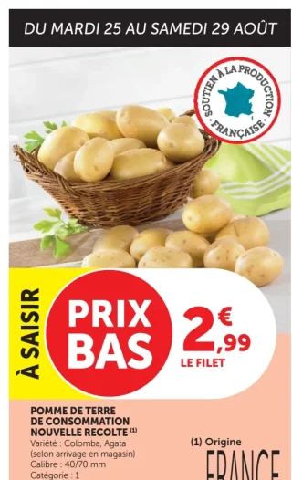 Pomme de terre de consommation nouvelle récolte