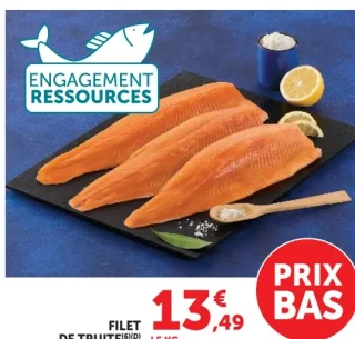 Filet de truite
