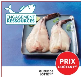 QUEUE DE LOTTE
